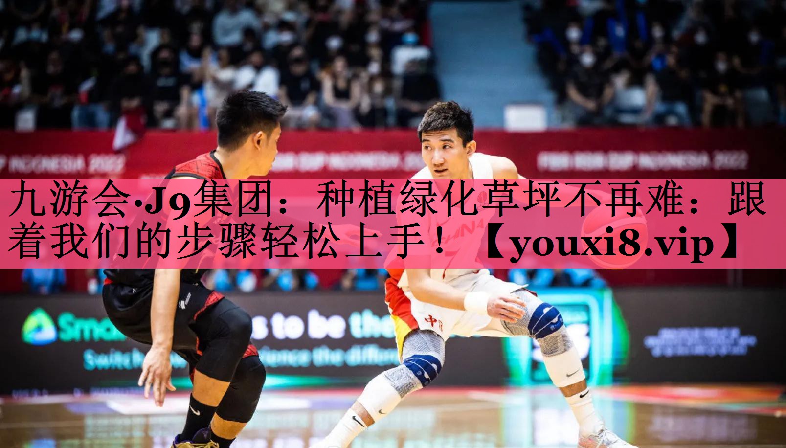 九游会·J9集团：种植绿化草坪不再难：跟着我们的步骤轻松上手！