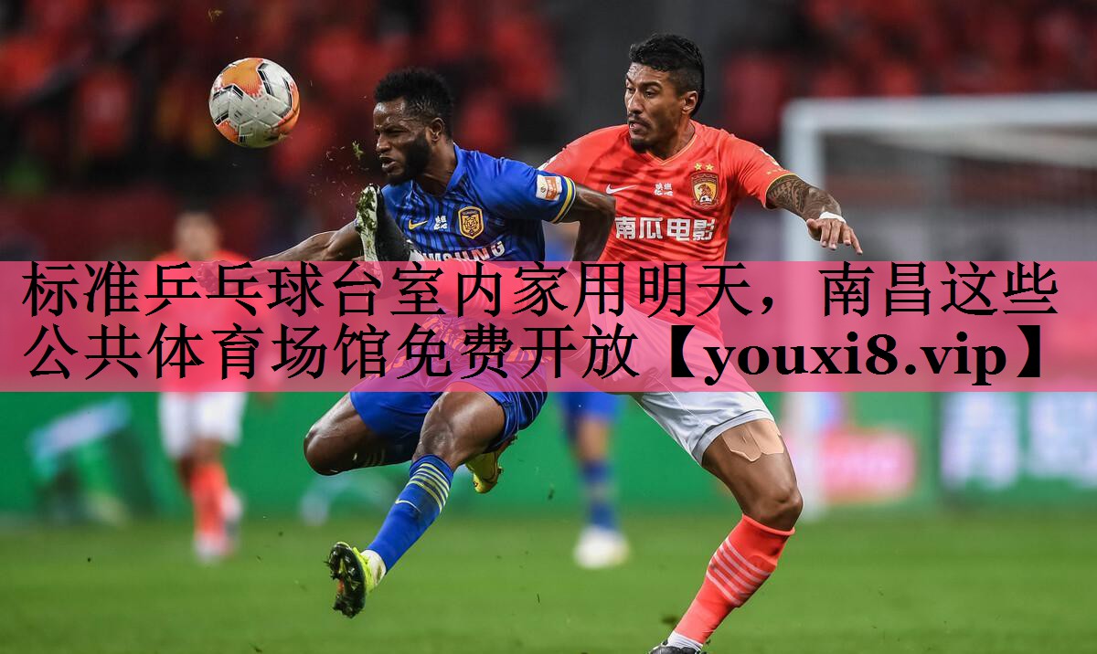 标准乒乓球台室内家用明天，南昌这些公共体育场馆免费开放