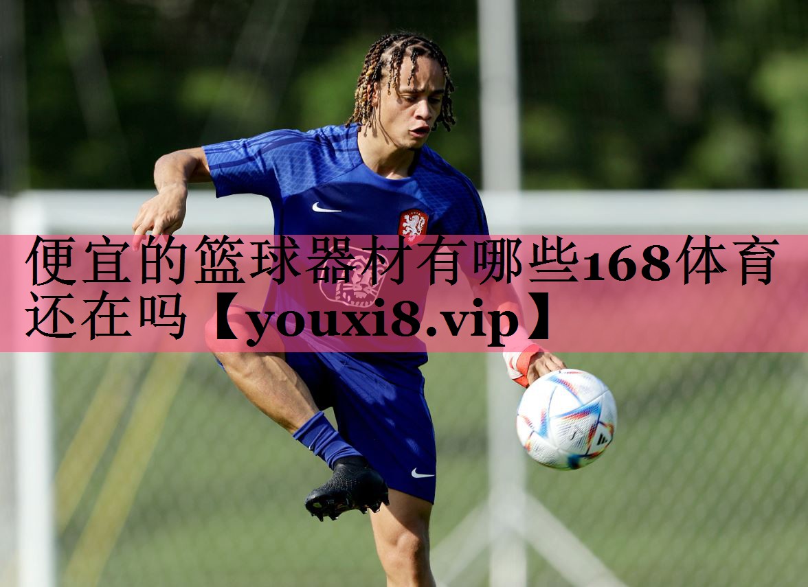 便宜的篮球器材有哪些168体育还在吗