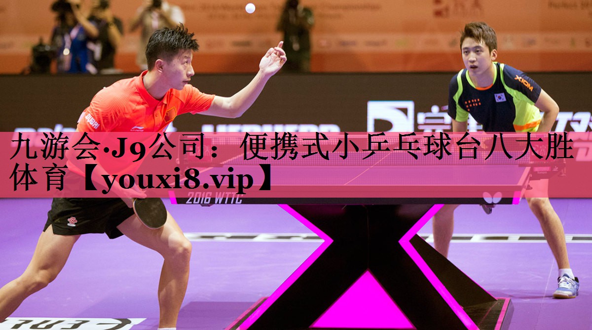 九游会·J9公司：便携式小乒乓球台八大胜体育