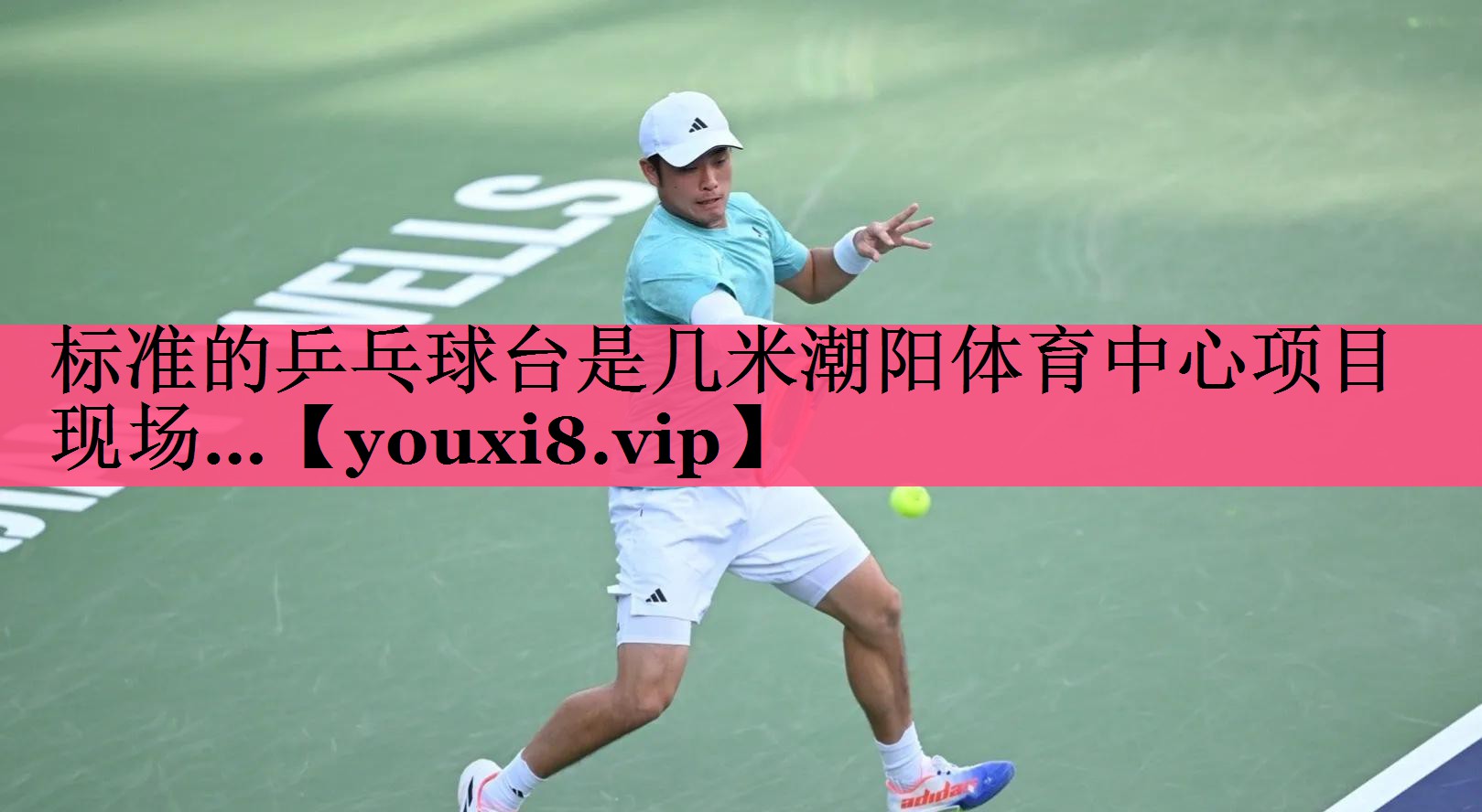 标准的乒乓球台是几米潮阳体育中心项目现场…
