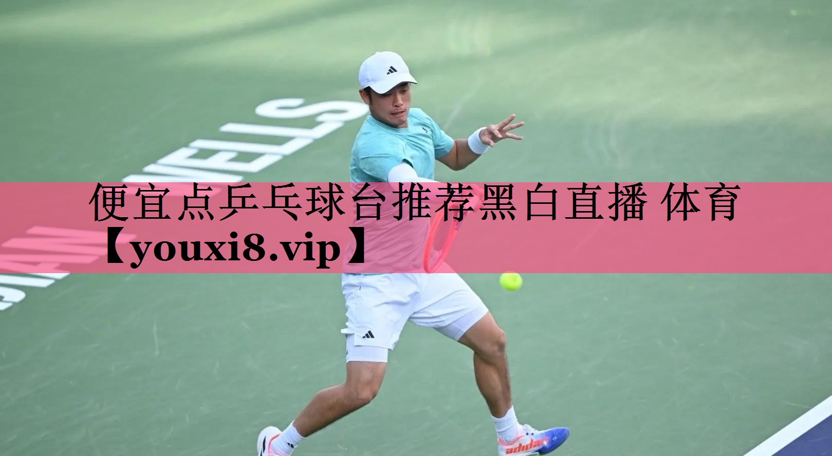 便宜点乒乓球台推荐黑白直播 体育