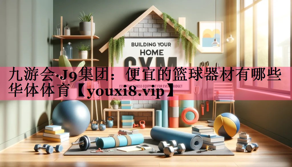 九游会·J9集团：便宜的篮球器材有哪些华体体育