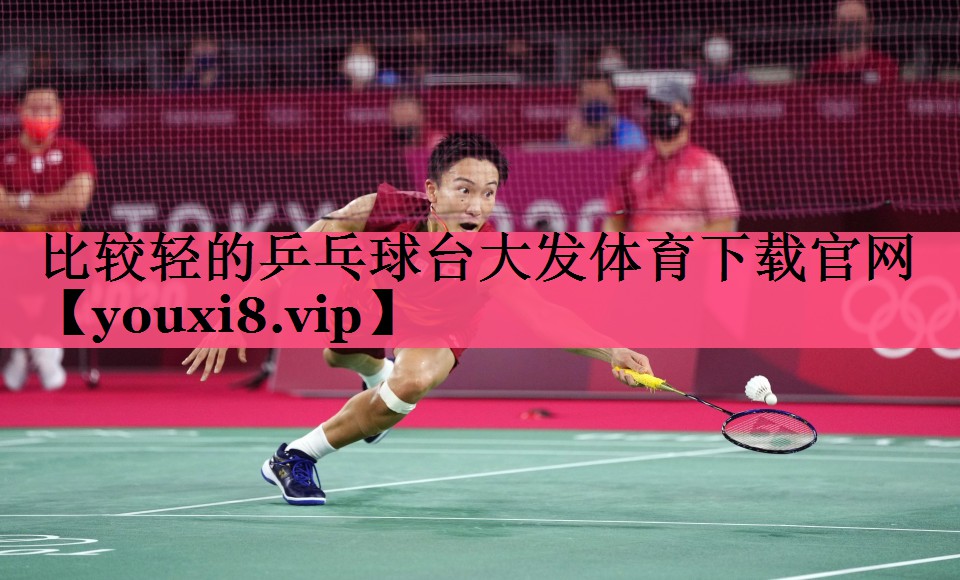 比较轻的乒乓球台大发体育下载官网