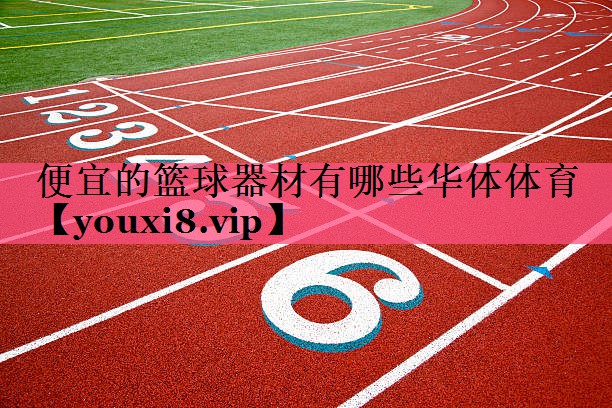 便宜的篮球器材有哪些华体体育