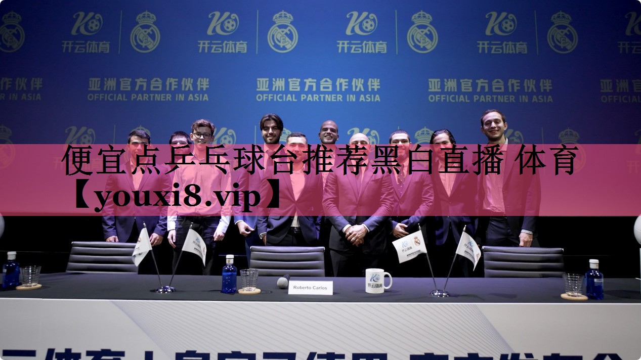 便宜点乒乓球台推荐黑白直播 体育