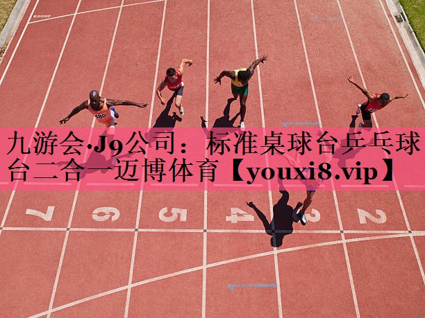 九游会·J9公司：标准桌球台乒乓球台二合一迈博体育