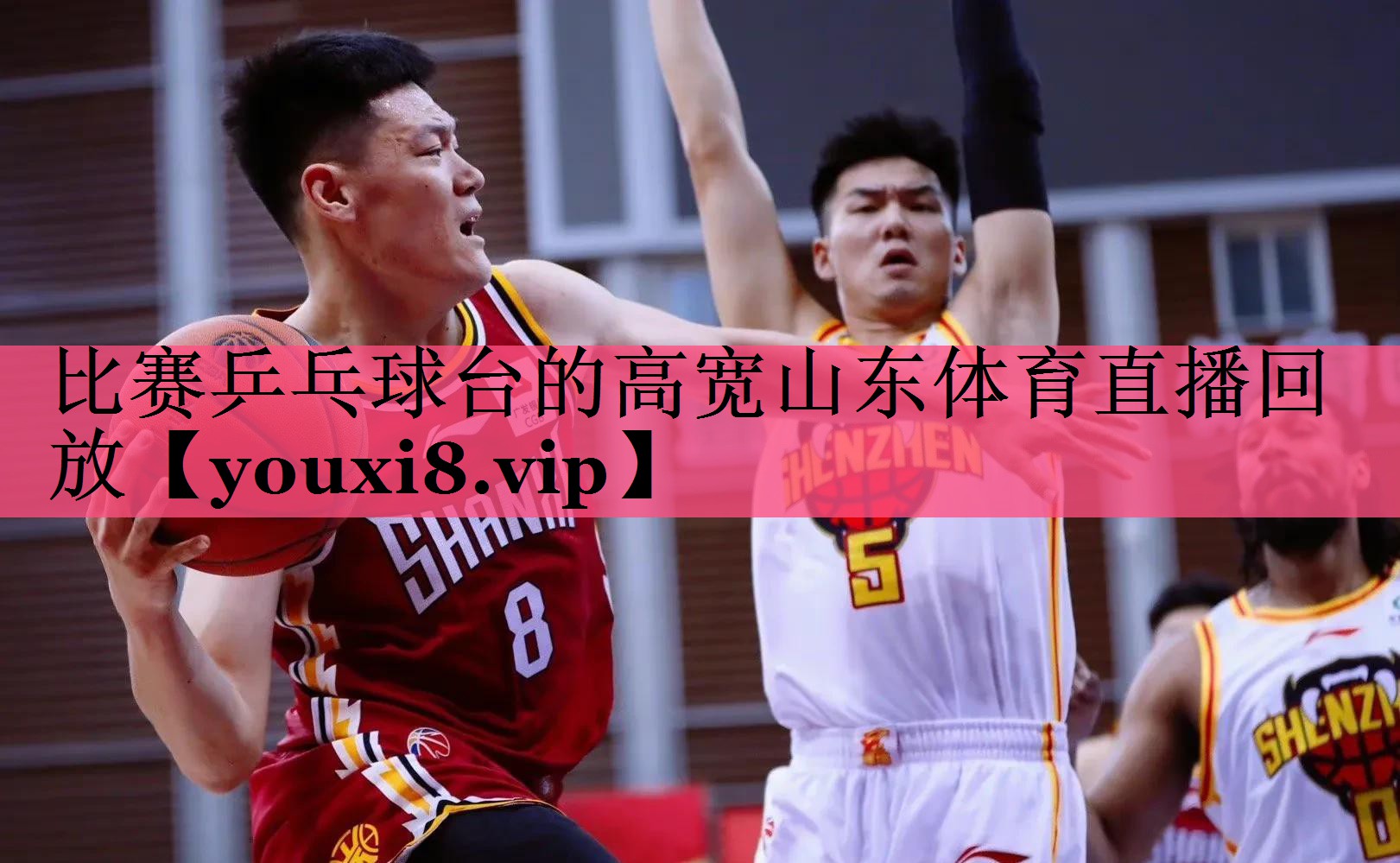 比赛乒乓球台的高宽山东体育直播回放