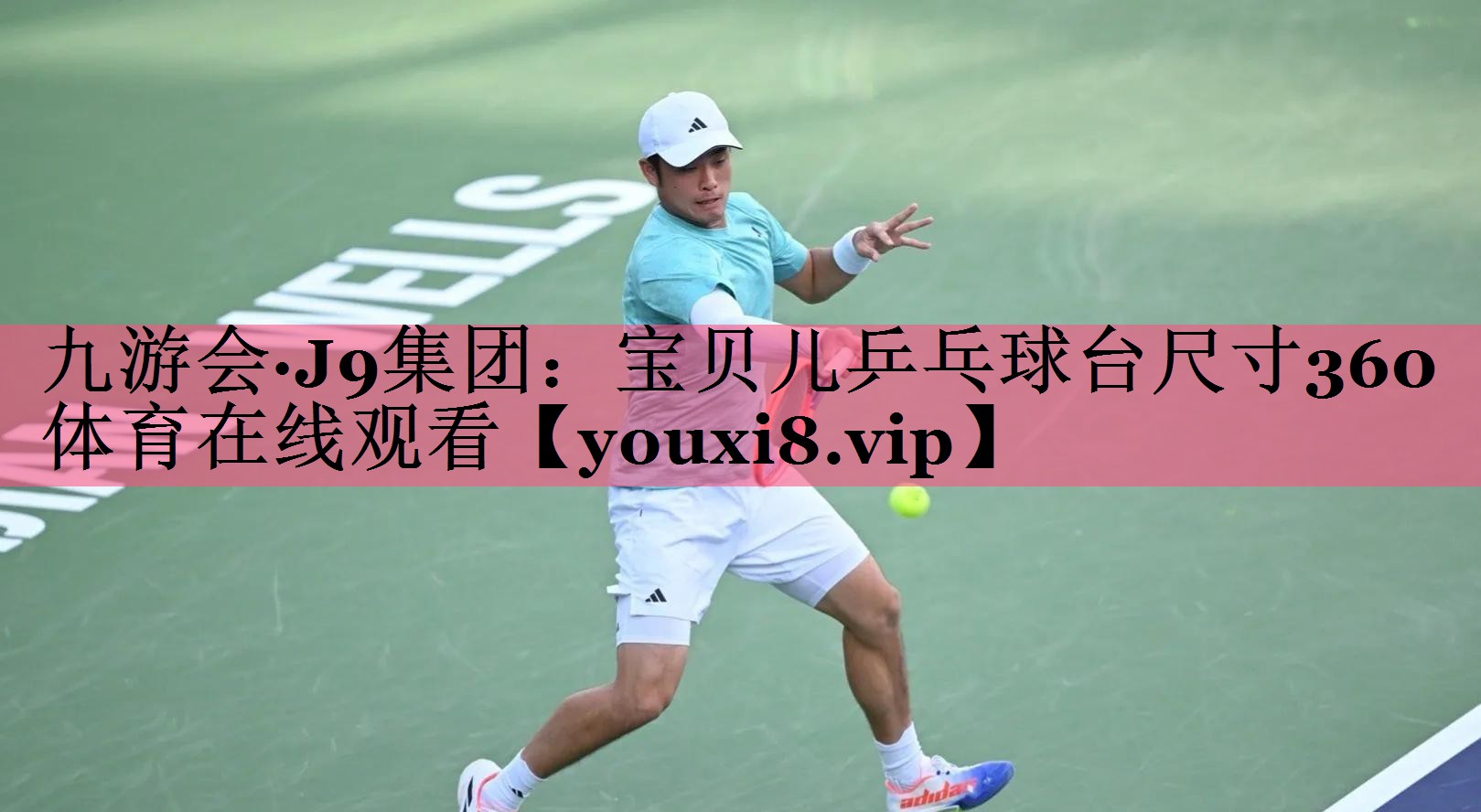 九游会·J9集团：宝贝儿乒乓球台尺寸360体育在线观看