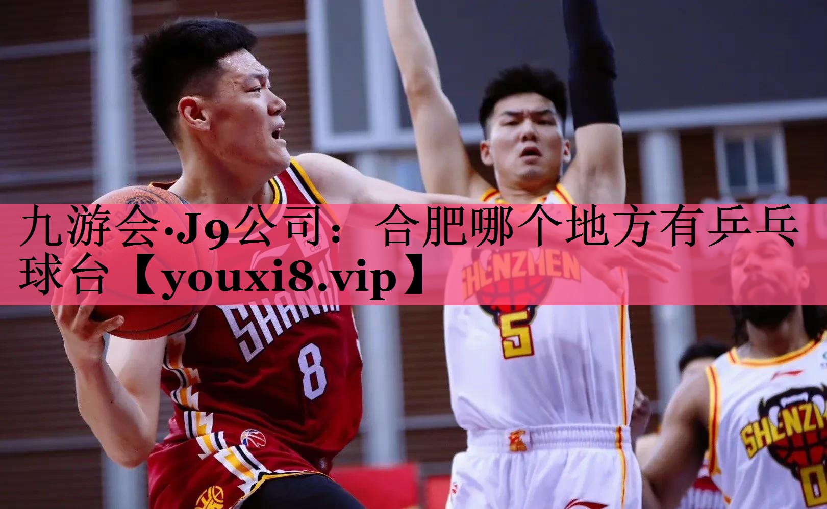 合肥哪个地方有乒乓球台