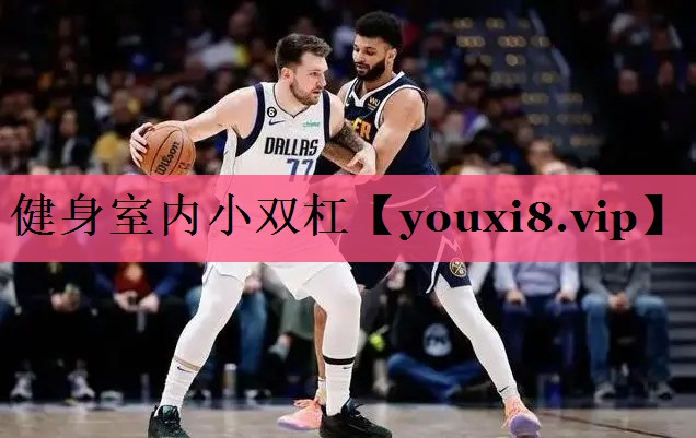 健身室内小双杠